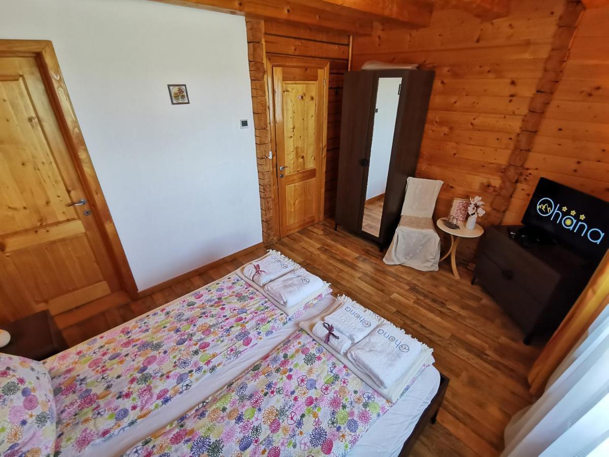 Ohana Boutique Hotel Vistea de Sus Εξωτερικό φωτογραφία