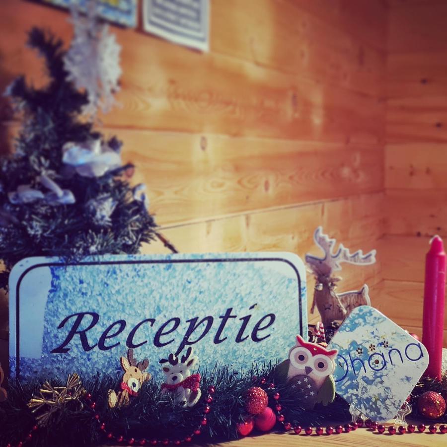 Ohana Boutique Hotel Vistea de Sus Εξωτερικό φωτογραφία