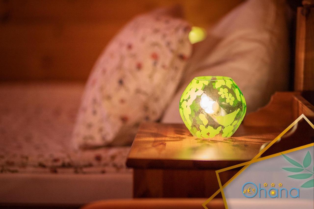 Ohana Boutique Hotel Vistea de Sus Εξωτερικό φωτογραφία